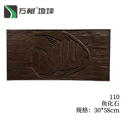 110-鱼化石